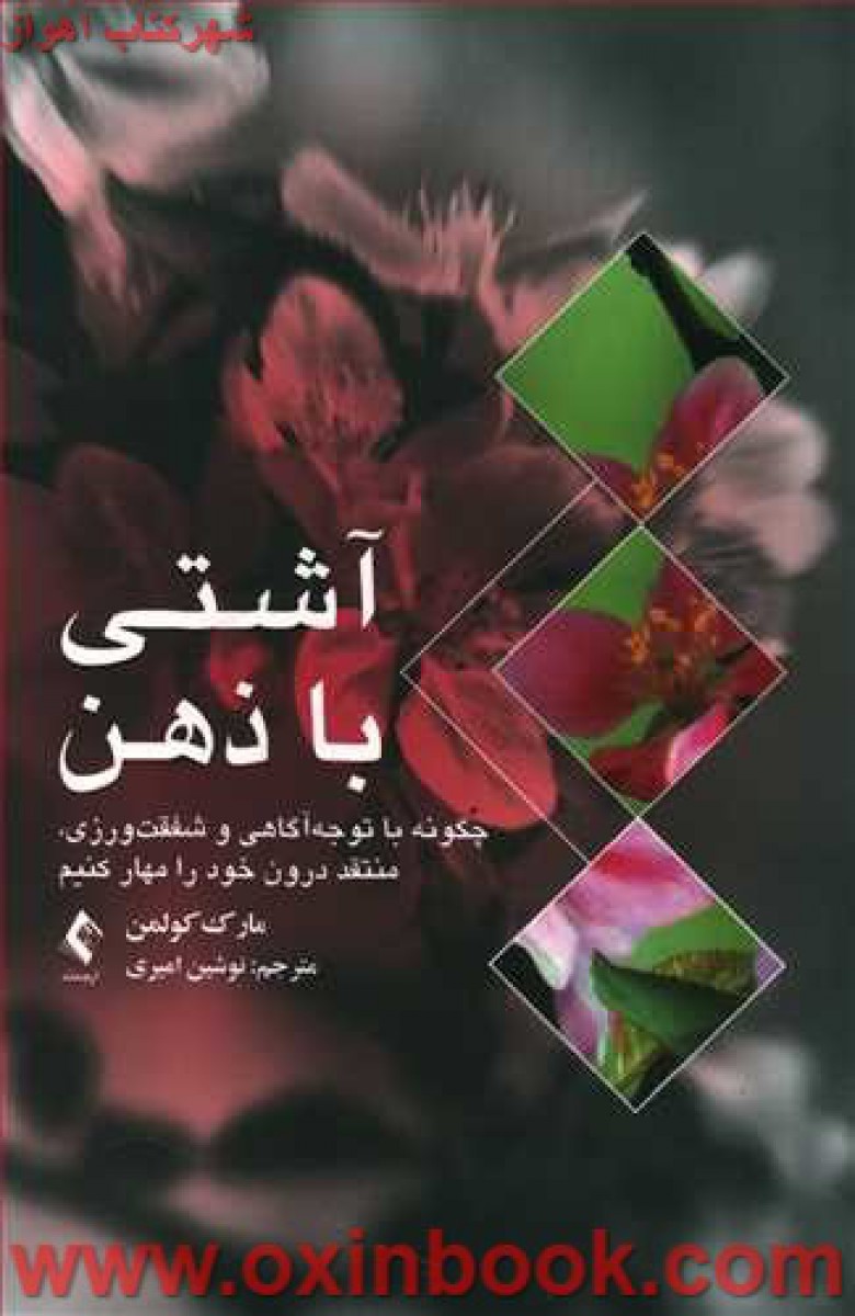 آشتی باذهن/مارک کولمن/نوشین امیری